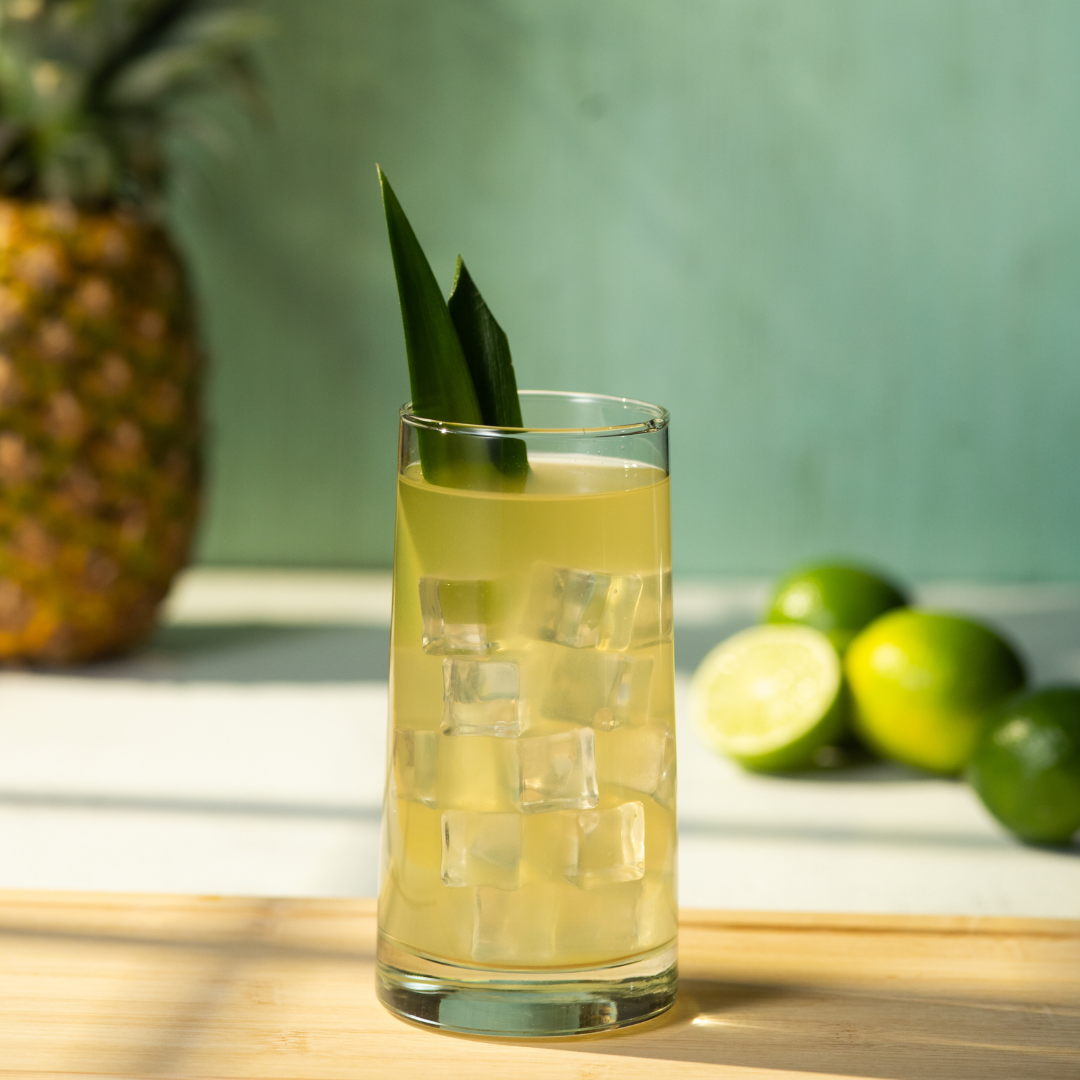 PILARGO – Papas Pilar Shop (Rum)